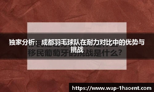 独家分析：成都羽毛球队在耐力对比中的优势与挑战